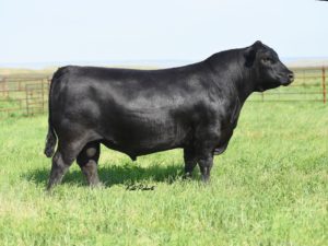 Cherry Creek Land Grant