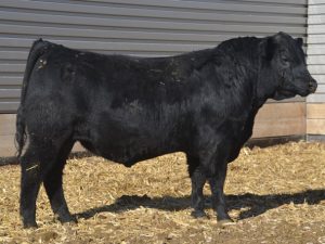 Lot 150