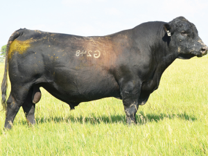 Cherry Crk Advance G248